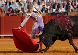 Manuel Escribano pone fin a su temporada antes de tiempo