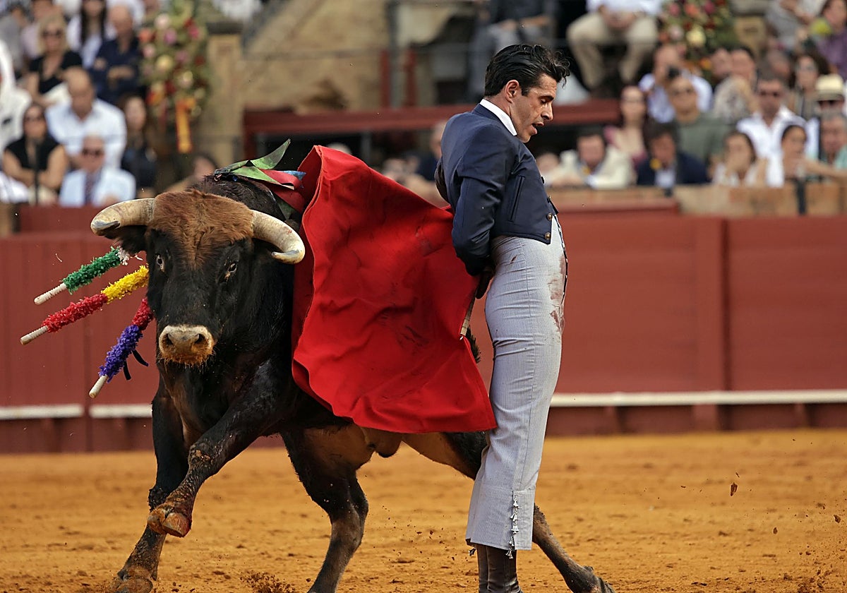 Las imágenes del Festival Taurino en la plaza de toros de la Real Maestranza