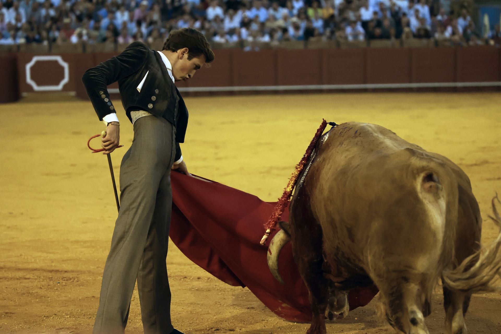 Festival taurino en la Maestranza