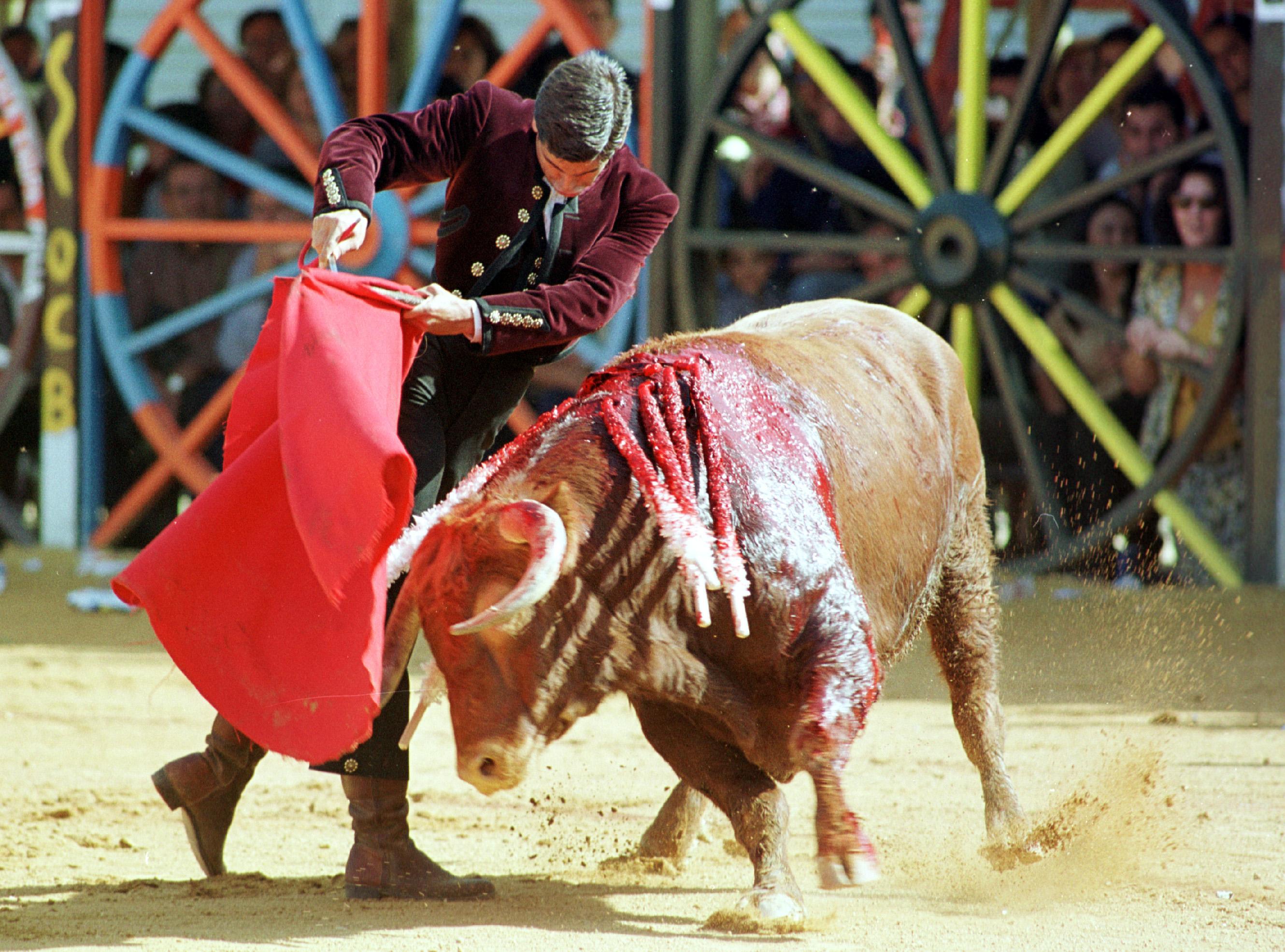 Morante de la Puebla