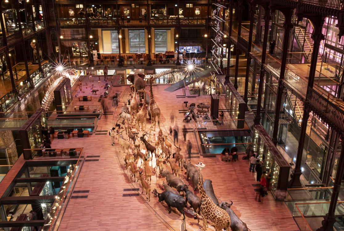 Imputada en Francia una mujer sospechosa del robo en el Museo de Historia Natural en París