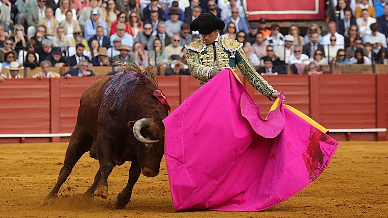 Daniel Luque, en la Maestranza