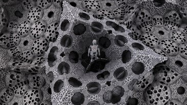 Marina Núñez: 'Tantos mundos en este'