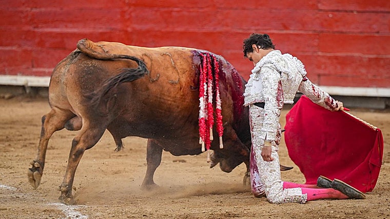 Abandonado y gustaándose con el quinto toro de Cuvillo