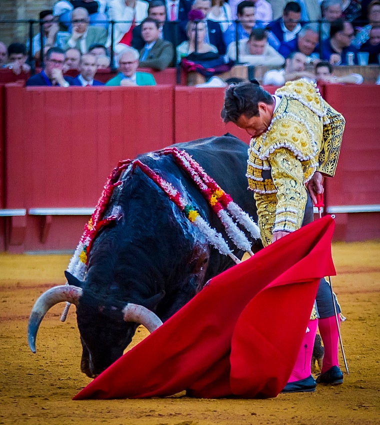 Diego Urdiales: «El toreo es buscar la felicidad y la plenitud»