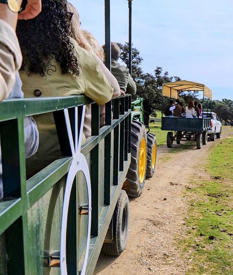 El Circulo Taurino Pablo Aguado celebra su jornada campera en Soto de la Fuente