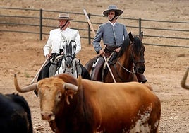 Torrestrella y la memoria viva de Álvaro Domecq Romero