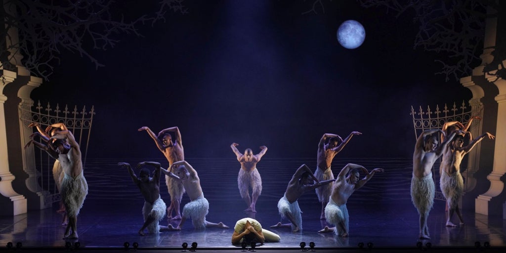 'Kuğu Gölü' rahatsız edici, erkeksi ve devrimci