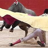 Ya se conocen las ganaderías de San Fermín: lista completa, corrida a corrida