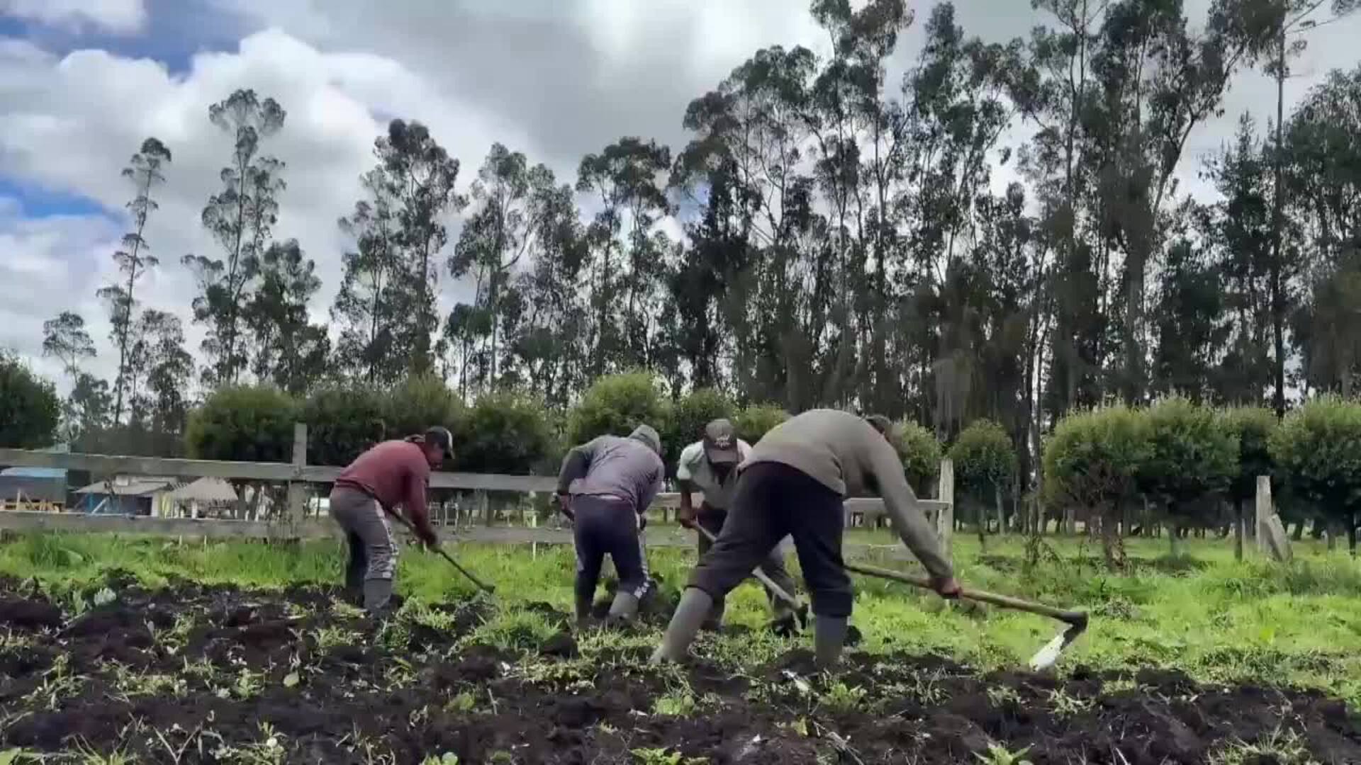Un banco de semillas lucha contra el hambre en un resguardo indígena del suroeste Colombia