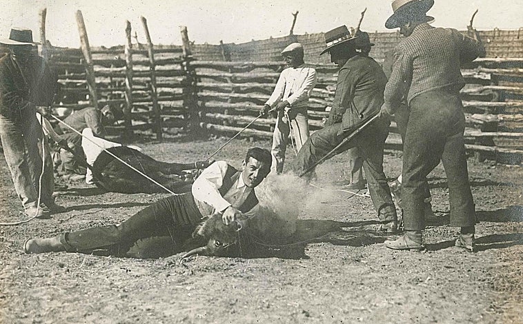Imagen principal - En la imagen inicial, el primer herradero en Juan Gómez (Urquijo/Carmen de Federico), con Ignacio Sánchez Mejías sujetando el becerro; en la segunda, enchiquerando en Casas de Marcos (Morales Hermanos); en la última, el cajón en el que se transportaban los toros al ferrocarril