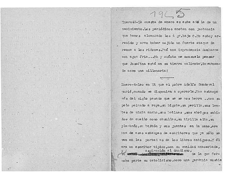 Páginas seleccionadas de los Diarios