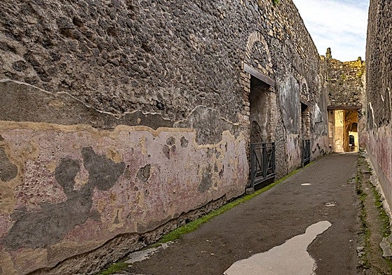 'Erato ama' en Pompeya: descubren 79 inscripciones inéditas en sus muros con gladiadores, amores y vida cotidiana