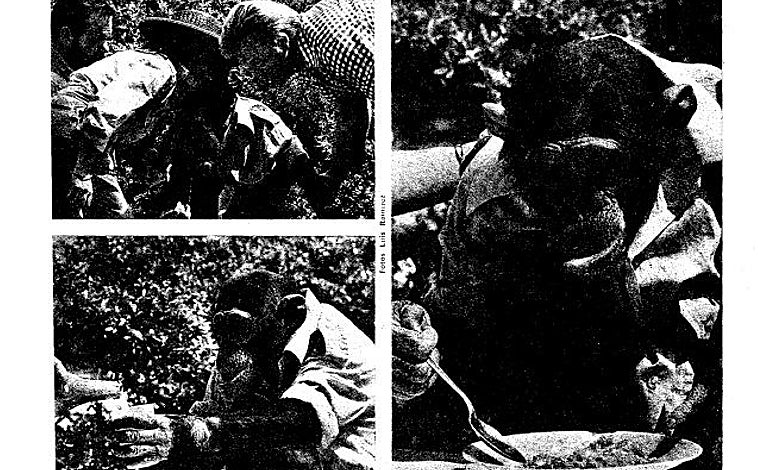 Imagen - Reportaje de Isabel Montejano