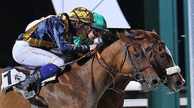 «COLIBRÍ» - 1ª CARRERA «PREMIO JULIÁN DE OLIVARES Y BRUGUERA»