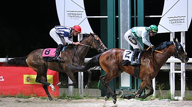 Bertie From Beu, Premio Ivanhoe