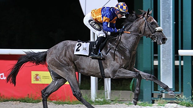 Fortunato, Premio Rituss