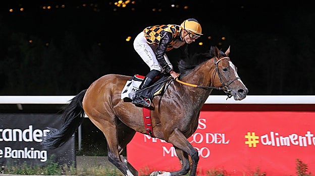 Haddaf, Premio Cristóbal Medina