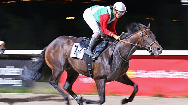 Weert, Premio Badarkablar