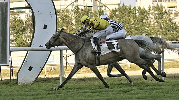«JULIE DE FAUST» - 2ª CARRERA «PREMIO WATHBA STALLIONS CUP»