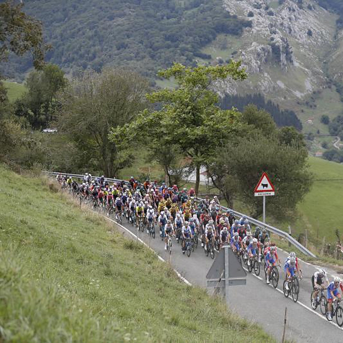 Evenepoel asalta el poder de Roglic en la Vuelta