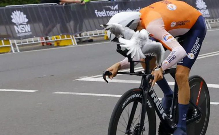 El ataque de los pájaros atemoriza a los ciclistas en el Mundial de Australia