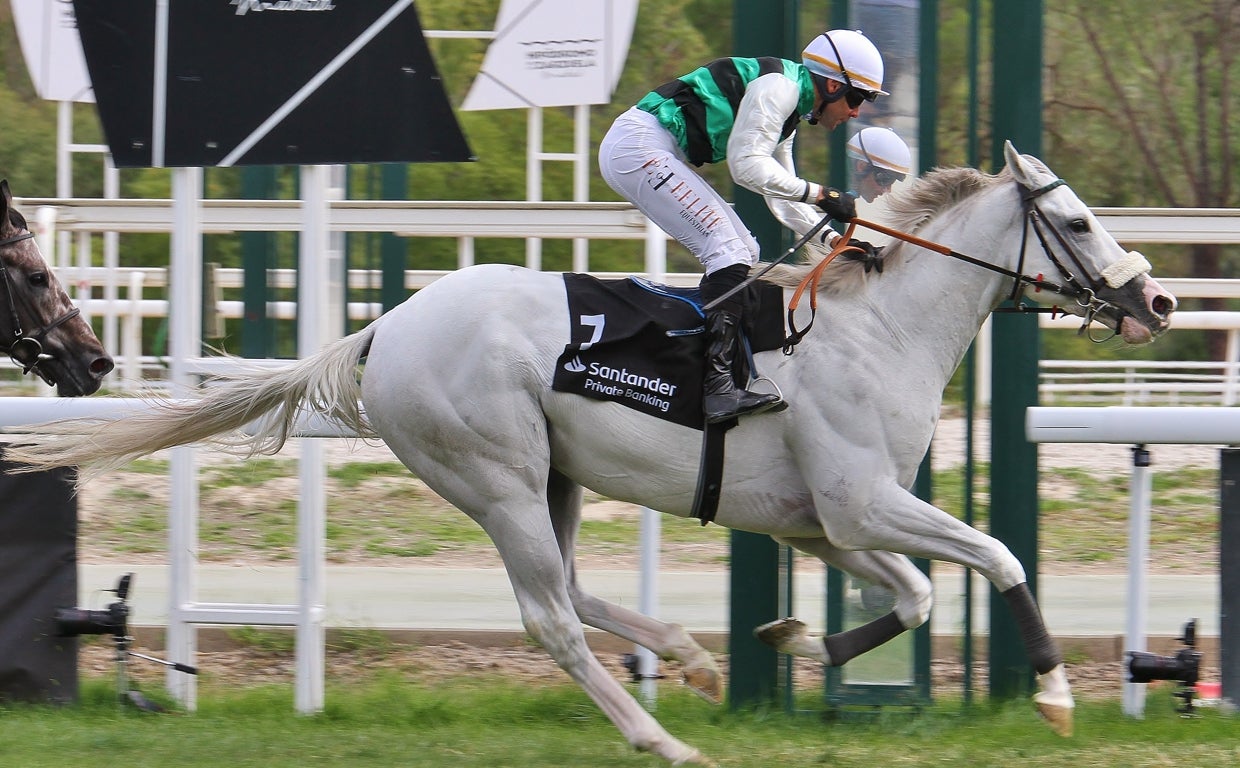 White King ganó la quinta carrera, el Gran Premio Villamejor