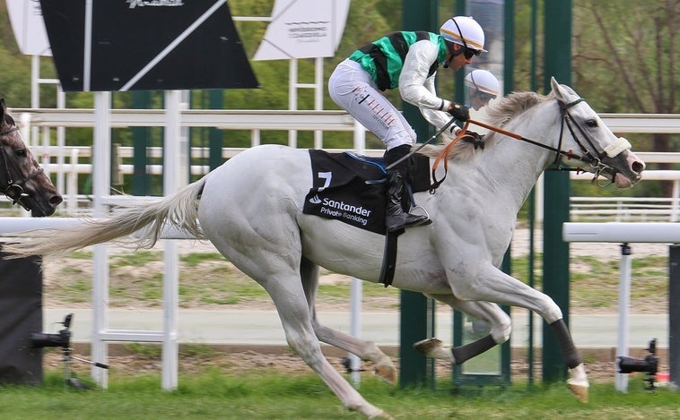 White King se corona a lo campeón, en el Gran Premio Villamejor