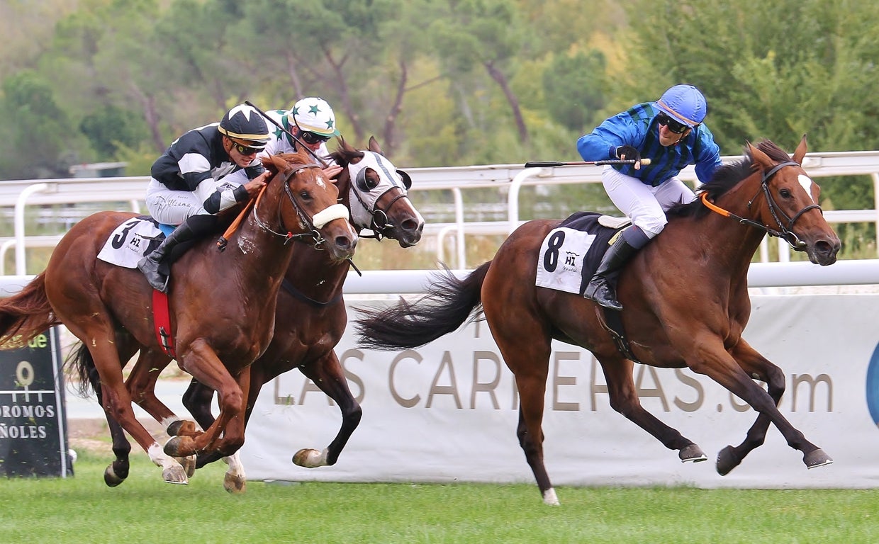 Casilda, última ganadora del Gran Premio Subasta ACPSIE