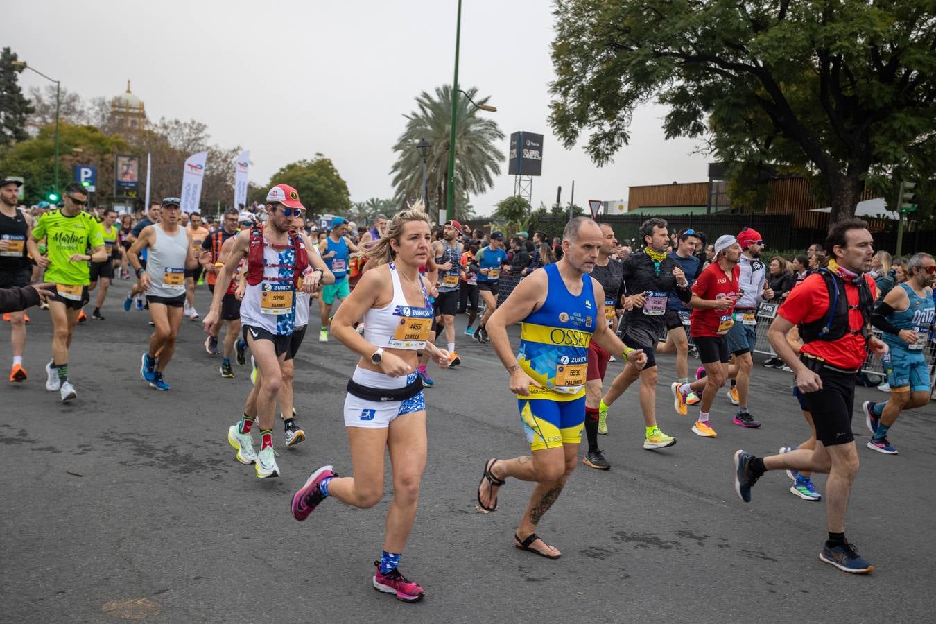 Diferentes momentos del Zurich Maratón de Sevilla 2023