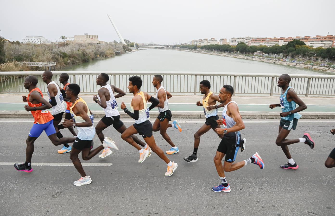 Participantes en el Maratón de Sevilla 2023