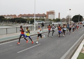 Si has corrido el Zurich Maratón de Sevilla 2023, busca tu foto aquí (IV)