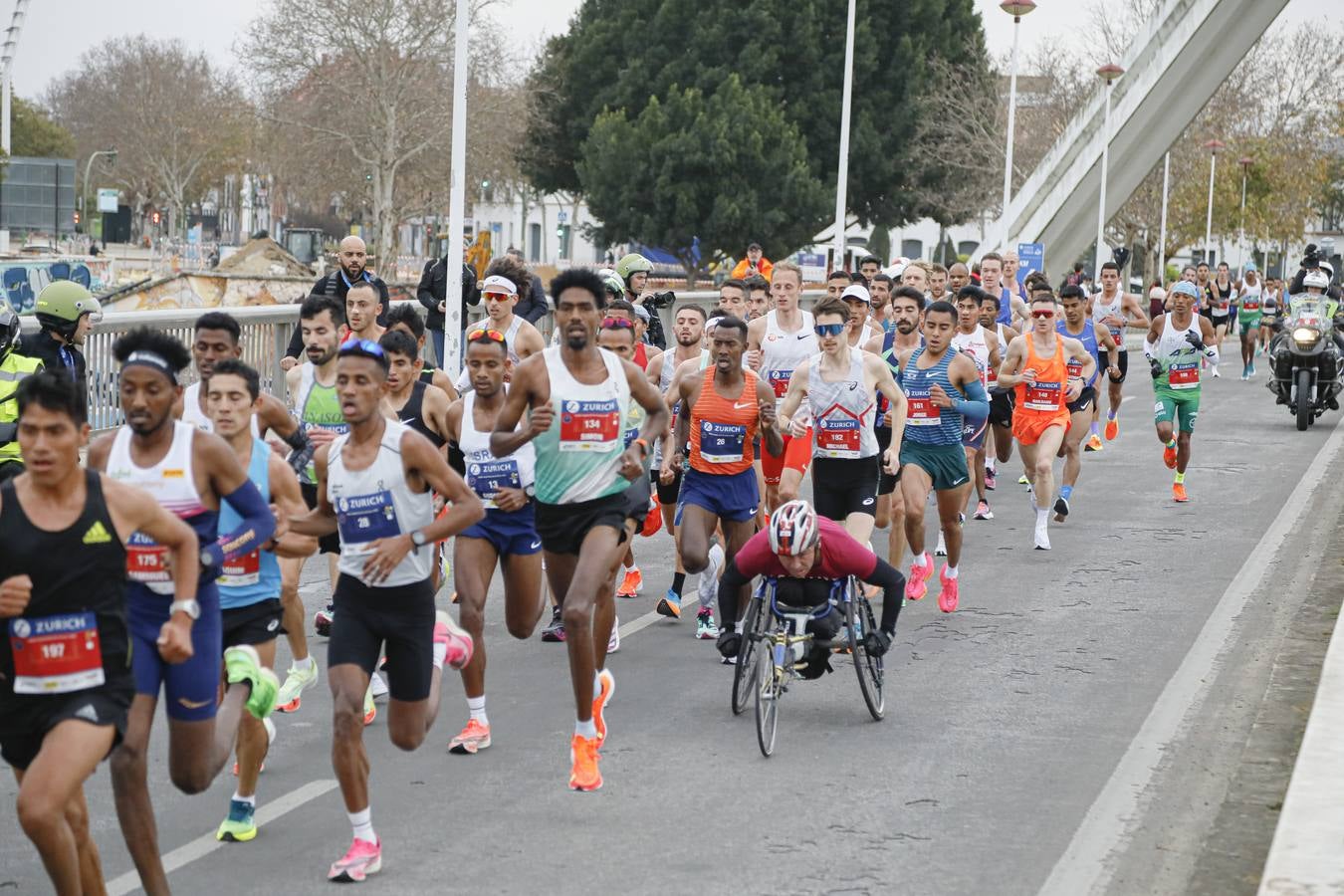 Participantes en el Maratón de Sevilla 2023