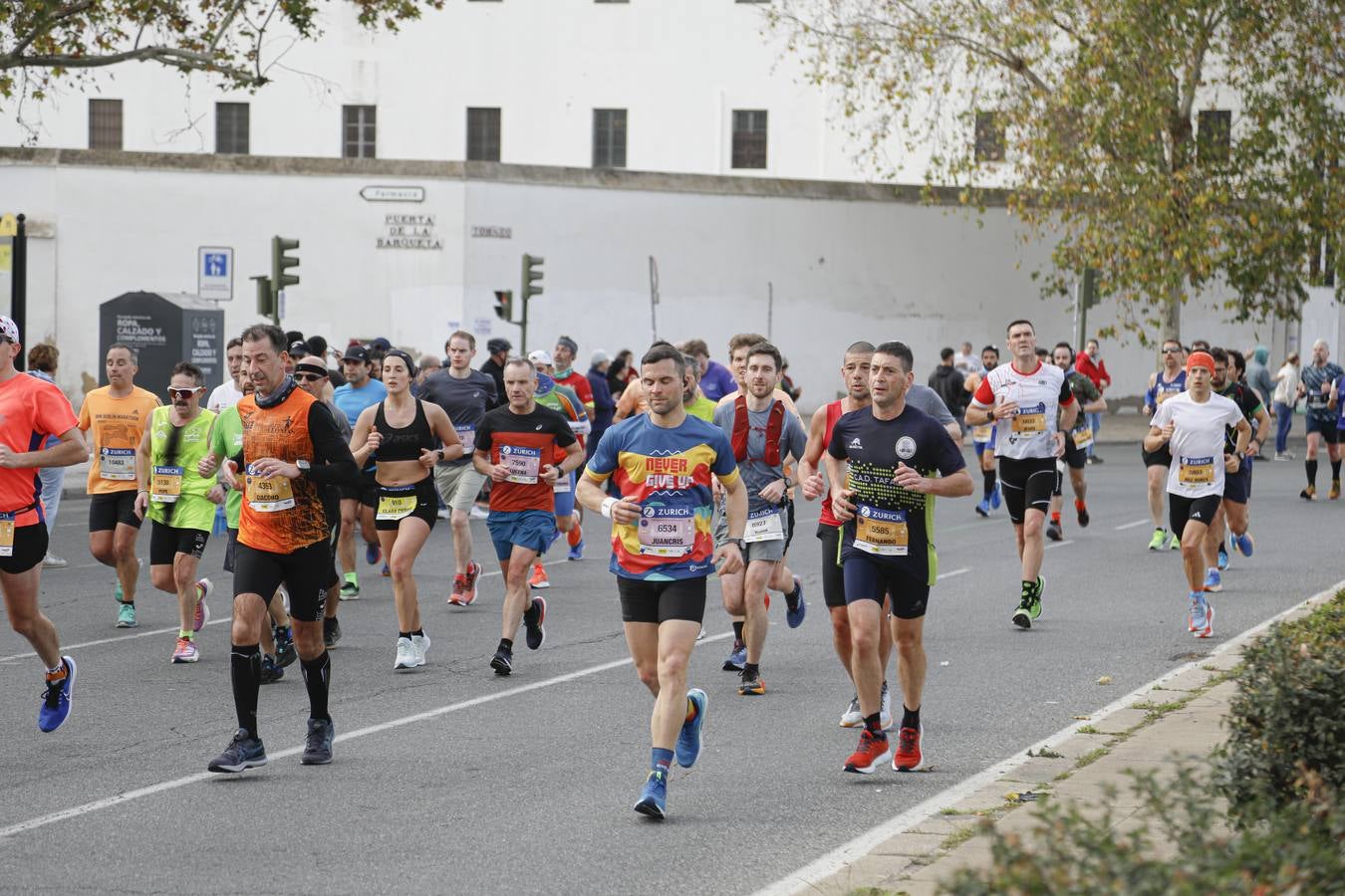 Participantes en el Maratón Sevilla 2023
