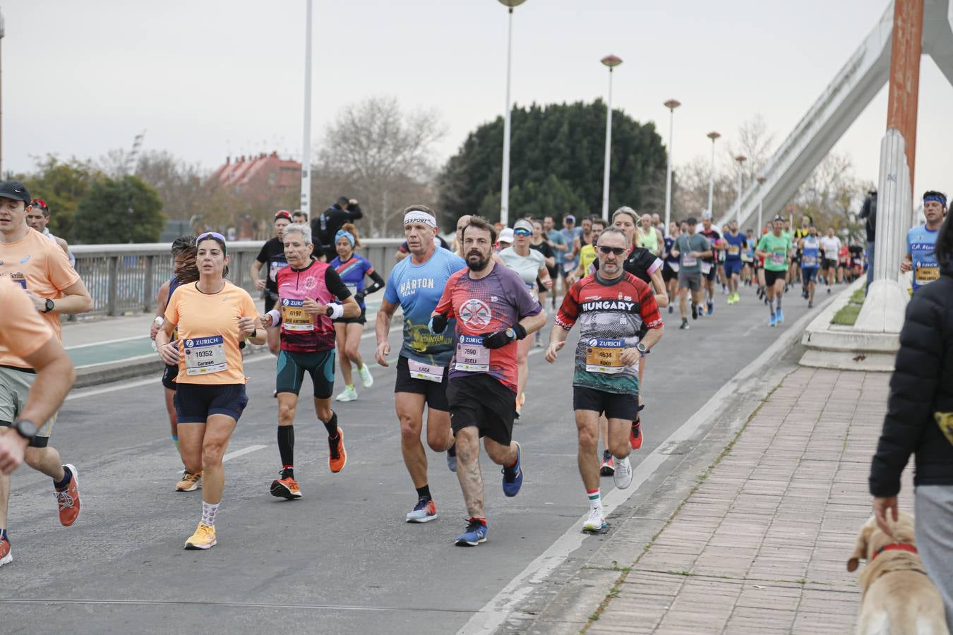 Participantes en el Maratón Sevilla 2023