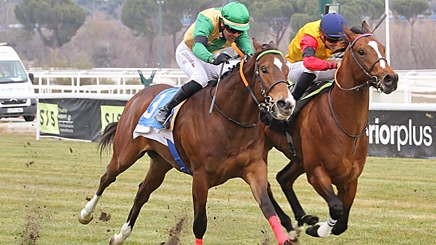 Bragnosera en el Premio Pablo Font