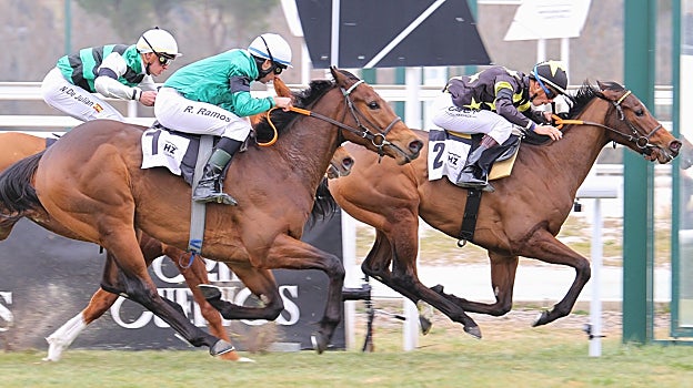 Sophie´s Watch en el Premio Hándicap Opcional