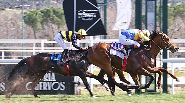 «WHITE WINE» - 4ª CARRERA «JOSÉ CARLOS FERNÁNDEZ»