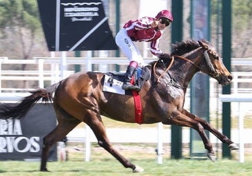 Gran victoria de 'Finely Tuned' en el Premio Bannaby