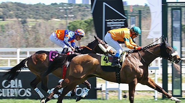 Bidul, ganador de la cuarta carrera, el Premio Benito Martín