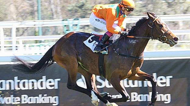 War of Dance, ganador del Premio Vllablanca