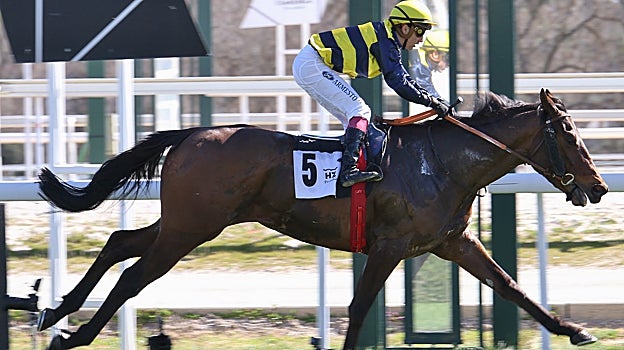 Witiza, ganador del Premio Fernando Savater