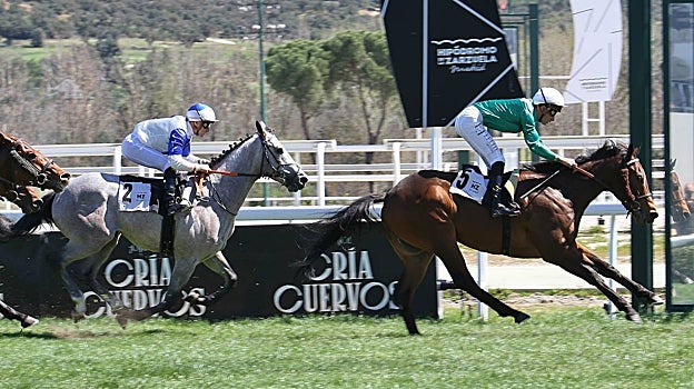 «It's Chico Time» - 5ª Carrera «Premio Torre Arias»