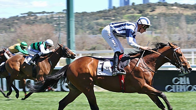 «Disillusion» - 6ª Carrera «Premio Teddy»