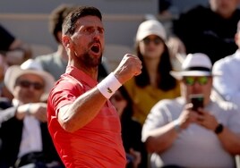 Un Djokovic enrabietado doblega a un guerrero Davidovich para alcanzar los octavos