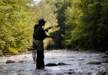 De portes y deportes