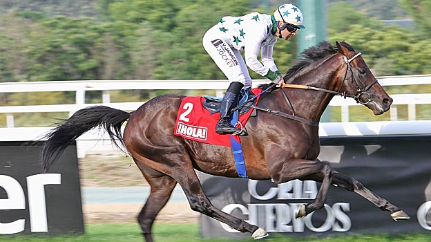 Naranco, ganador del Premio Hipódromo de La Castellana