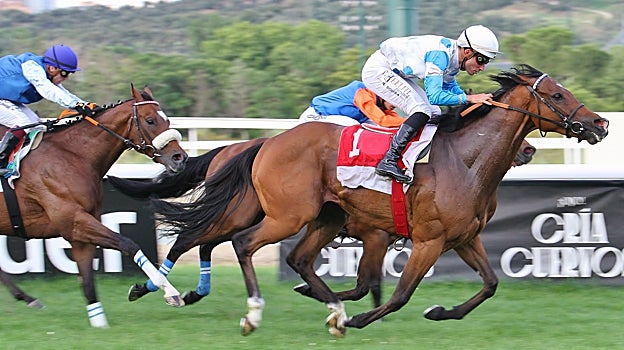 Tammani, vencedor de la cuarta carrera, el Premio Roberto López