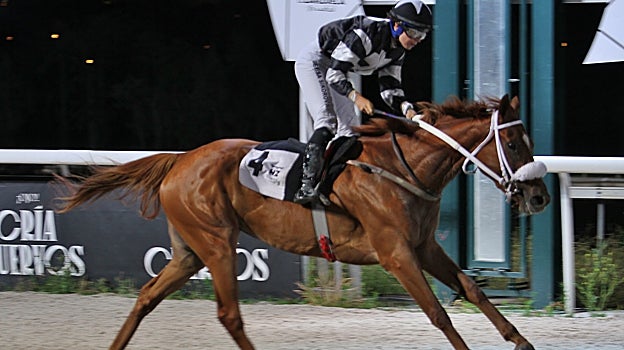 Atrevida ganó la segunda carrera, el Premio Paulino García