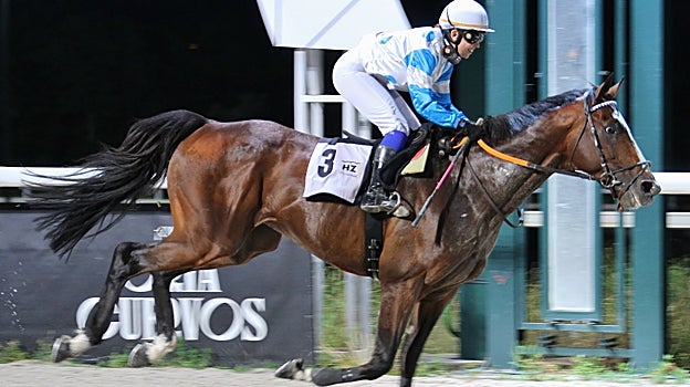 Stour, ganador del Premio Maribel Baíllo